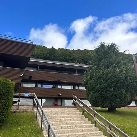 Appartement Terrasse Pied Des Pistes Coeur Station Wifi Besse-et-Saint-Anastaise