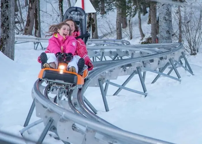 Appartement Terrasse Pied Des Pistes Coeur Station Wifi Besse-et-Saint-Anastaise